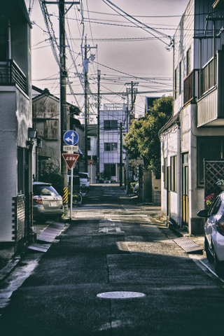 Illustration for article titled Random Walk Around My Place #1